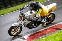 Advanced Group White Bikes